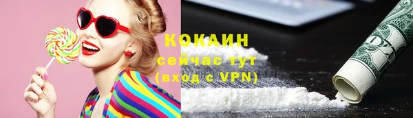 ГАЛЛЮЦИНОГЕННЫЕ ГРИБЫ Кулебаки