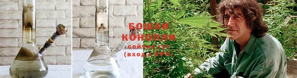 ГАЛЛЮЦИНОГЕННЫЕ ГРИБЫ Кулебаки