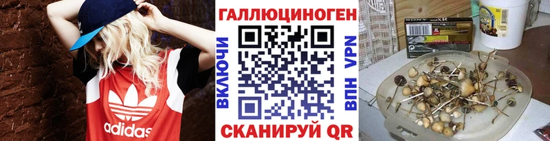 Псилоцибиновые грибы Cubensis Еманжелинск