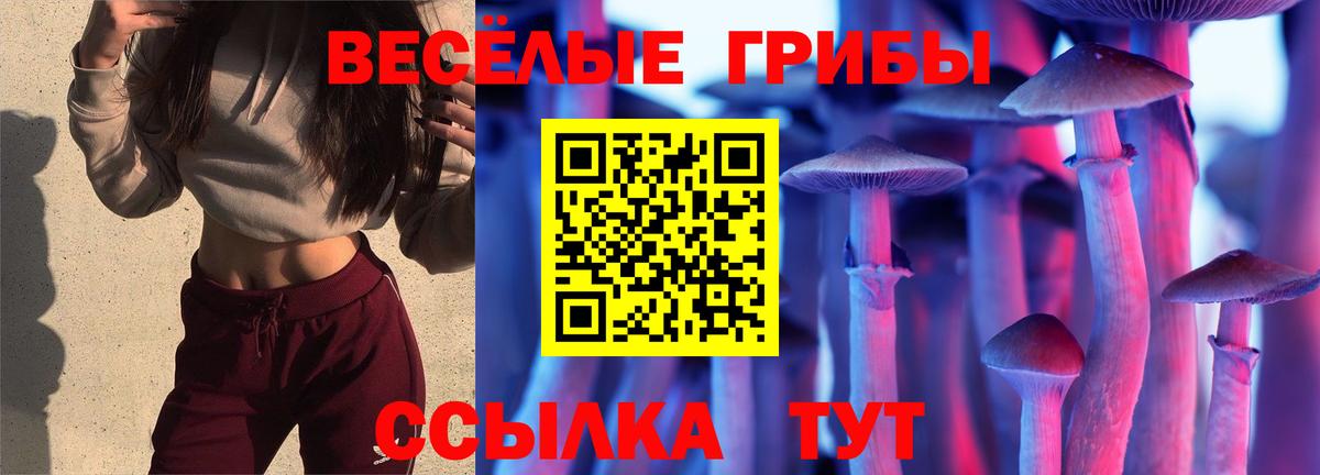 Псилоцибиновые грибы GOLDEN TEACHER  где купить   Еманжелинск  Вход с VPN  Псилоцибиновые грибы ЛСД 